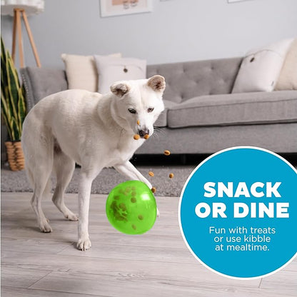 Outward Hound Snoop Interactive Treat Dispensing Dog Toy, Large, Green