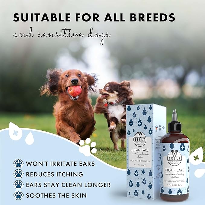 Belly Dog Ear Cleaner - Natural Ear Cleaner for Dogs: for Waxy Ear Canals. Ear Wash for Dogs for Dog Itchy Ears - Dog Ear Wipes Alternative, 8.5 Fl Oz
