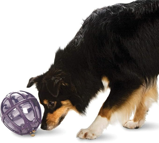 PetSafe Busy Buddy Kibble Nibble - Dog Toy - Treat and Food Dispenser - Slow feeder - Medium/Large