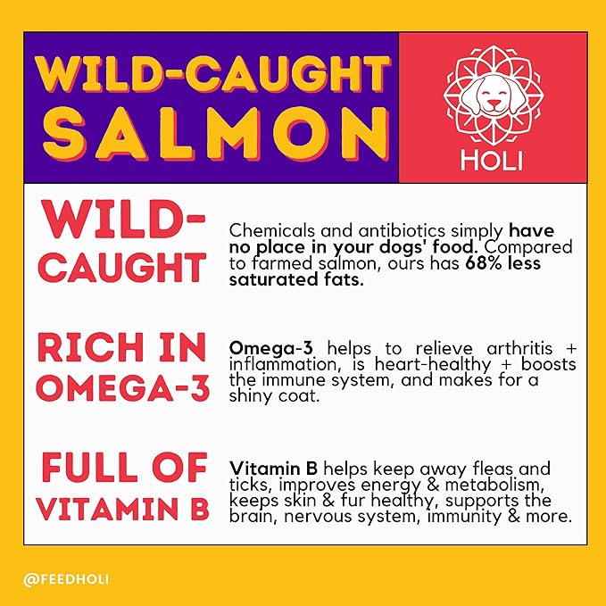 HOLI Freeze Dried Salmon Dog Food Topper - with Omega 3 & 6 - Single Ingredient, Human-Grade Wild Caught Salmon - Dog Food Flavor Enhancer for Picky Dogs – 100% All Natural - 3oz