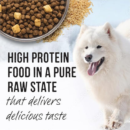Merrick Backcountry Raw Infused Grain Free & with Healthy Grains Dry Dog Food 20 Pound (Pack of 1)