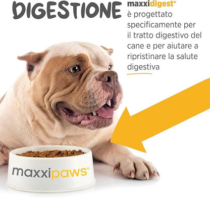 maxxidigest+ Digestive and Immune Support Supplement for Dogs with Probiotics, Prebiotics and Digestive Enzymes – 13.2 oz