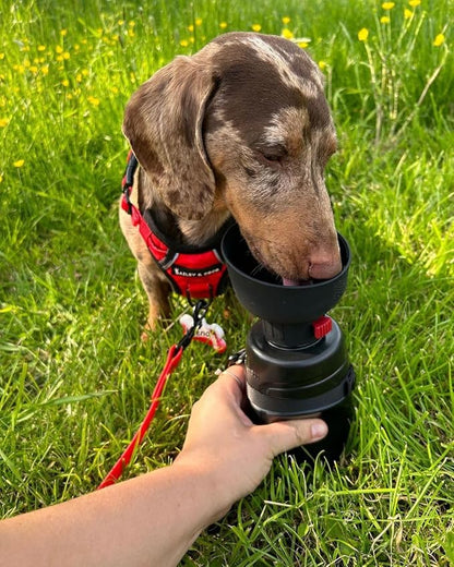 lesotc Upgraded Dog Water Bottle Foldable,Portable Dog Water Dispenser,Leak Proof Pet Water Bottle for Dogs,Dog Travel Water Bottle for Outdoor Walking,Hiking,Travel,BPA Free,Lightweight