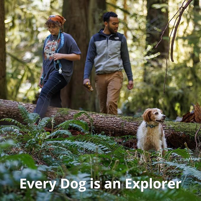 Ruffwear, Crag Ex Leash, Extendable Dog Leash, Hand-Held or Waist-Worn Reflective Lead, Alpine Dusk
