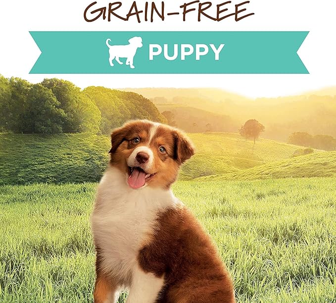 Instinct Original Puppy Grain Free Real Chicken Recipe Natural Wet Canned Dog Food by Nature's Variety, 13.2 Ounce (Pack of 6)
