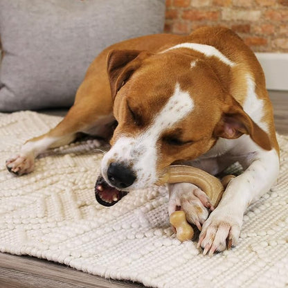 Nylabone Gourmet Style Strong Chew Wishbone Dog Chew Toy, Chicken Flavor, Large/Giant (1 Count)