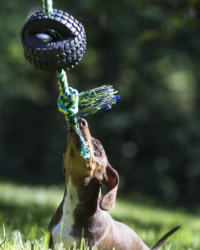 Pet Qwerks X-Tire Ball Dog Toys - Rope Interactive Chew Toy - Medium