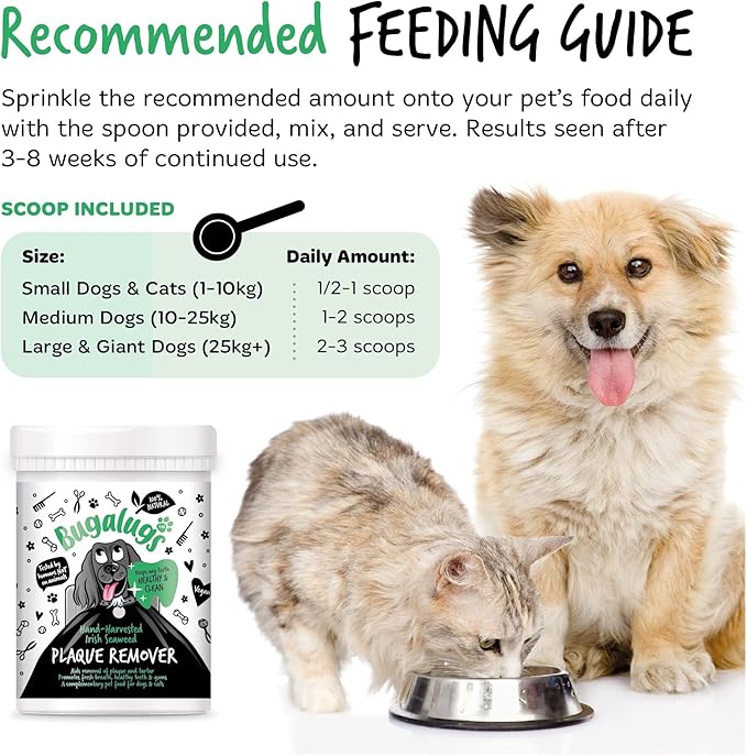 Plaque Off Remover for Dog Teeth & Bad Breath 100% Natural | Plaque Off No Toothbrush or Dog Toothpaste | Remove Dog Bad Breath & Plaque Remover for Dogs & Cats (Dog 70g)