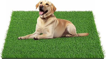 LOOBANI 39.3in x 31.5in Grass Pad for Dogs Potty Training Excellent Drainage Artificial Grass Pee Pad for Dogs Turf Fake Grass Potty Easy to Clean Indoor Outdoor