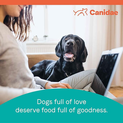Canidae PURE Limited Ingredient Premium Adult Dry Dog Food, Lamb and Pea Recipe (New look- Real Lamb and Sweet Potato Recipe), 12 Pounds, Grain Free