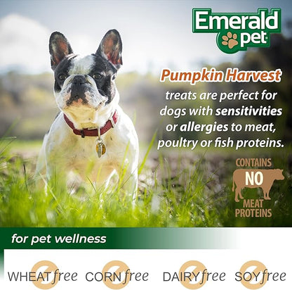 Emerald Pet Pumpkin Mini Trainers Dog Treats, 6 oz - Support Healthy Digestion, Allergen-Friendly, Vegetarian, Low-Fat, Grain Free, Made in USA