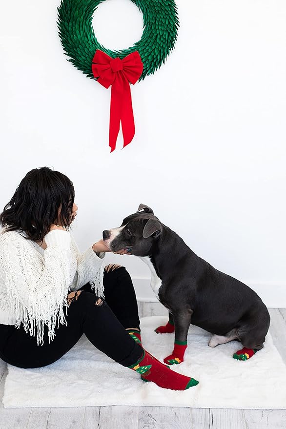 Pearhead Matching Human and Dog Apparel, Christmas Socks Set for Dog and Owner, Green and Red Christmas Tree Dog Socks and Adult Socks