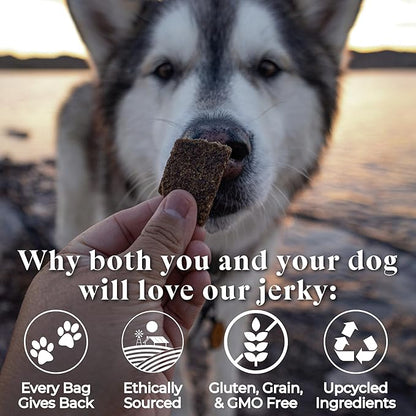 OTIS Alaskan Salmon Jerky for Dogs | Salmon Jerky Recipe - Protein Packed, Ethically-Sourced Sustainable Healthy Dog Treats - with DHA and EPA Healthy Dog Jerky Treat | 4 oz