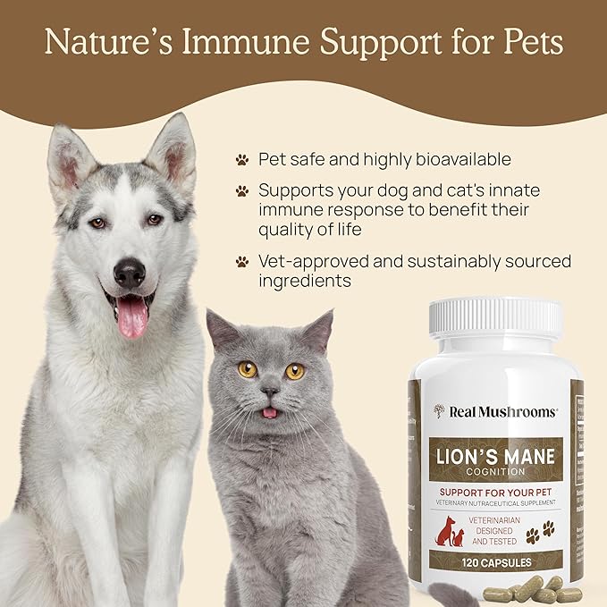 Real Mushrooms Lions Mane Pet Support Mushroom Supplement - Cat & Dog Vitamins and Supplements for Cognition & Memory Support - Vet Approved Mushroom Complex Capsules (120ct) Gluten-Free, Non-GMO