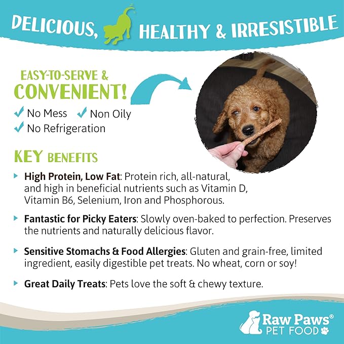 Raw Paws Grain-Free Soft Stick Treats for Dogs & Cats - Beef Recipe, 6-oz - Made in USA Beef Jerky Dog Treats - Cat Beef Sticks - Chewy Dog Beef Jerky Treats - Real Beef Dog Treats, Dog Sausage Treats