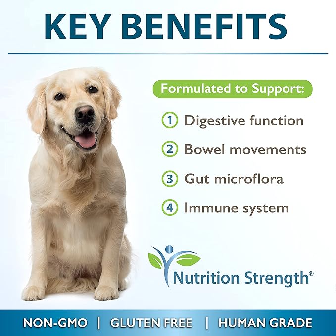 Psyllium for Dogs Complex to Promote Your Pet's Gut Health, Stimulate Healthy Digestion, Support Normal Bowel Function, with Psyllium + Inulin, Bromelain & Protease, 90 Soft Chews