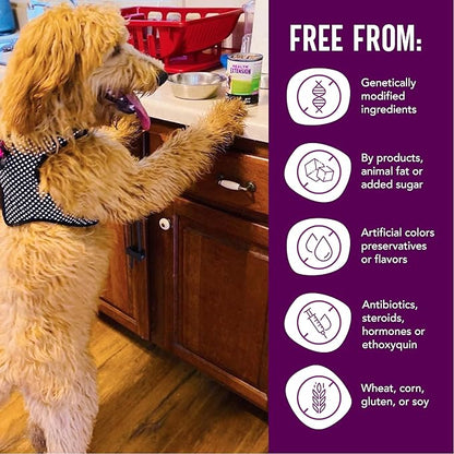 Health Extension Variety Pack of Wet Dog Food Chicken, Lamb Entree, and Turkey Entree Canned - 12.5 Oz / 374g Each, Gluten & Grain-Free, Natural Food for Puppies and Dogs, Added Vitamins & Mineral