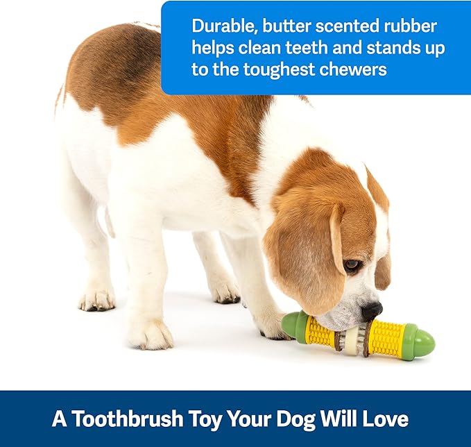 PetSafe Busy Buddy Cravin’ Corncob Dog Toys – Treat Ring Holding Chew Toy – BPA Free Rubber – Butter Scented – Interactive Pet Puzzle for Boredom or Separation Anxiety – Small to Large Dogs