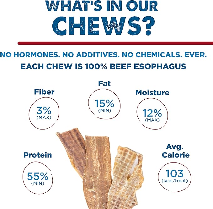 Best Bully Sticks 12 Inch Joint Jerky Gullet Dog Treats (12 Pack) - All-Natural Beef Dog Treats