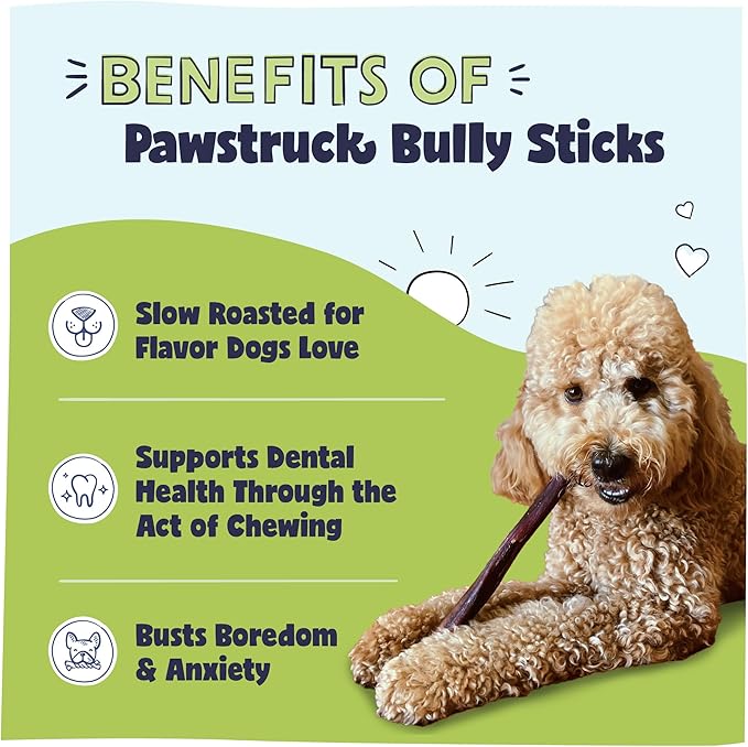 Pawstruck Natural 8-12" Bully Sticks for Dogs - Best Long Lasting, Rawhide Free, Low Odor & Grain Free Dental Chew Treat - Healthy Single Ingredient 100% Real Beef - 1 lb Bag - Packaging May Vary