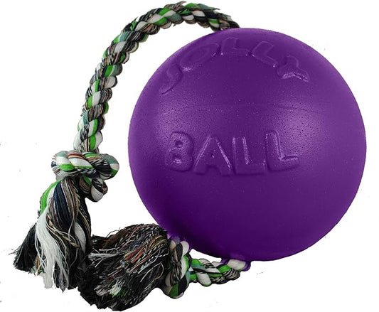 Jolly Pets Romp-n-Roll Rope and Ball Dog Toy, 6 Inches/Medium, Purple
