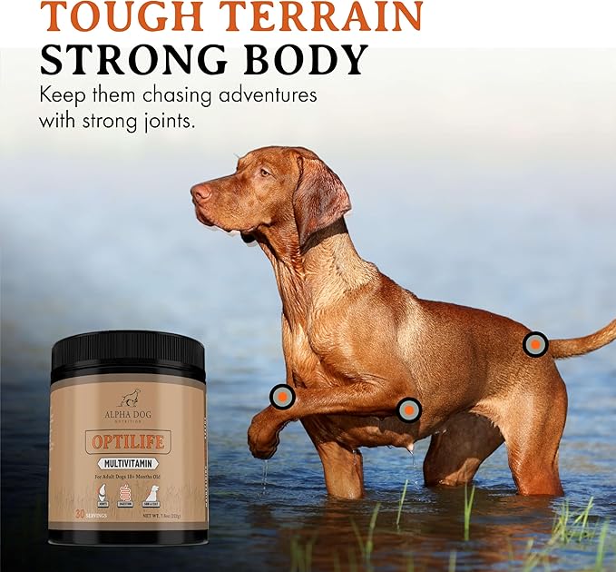 OptiLife Multivitamin for Adult Dogs - Contains Probiotics, Allergy Support, Joint Support, Muscle Recovery, and Skin & Coat Support - Powder Supplement (60 Servings)
