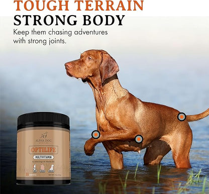 OptiLife Multivitamin for Adult Dogs - Contains Probiotics, Allergy Support, Joint Support, Muscle Recovery, and Skin & Coat Support - Powder Supplement (60 Servings)
