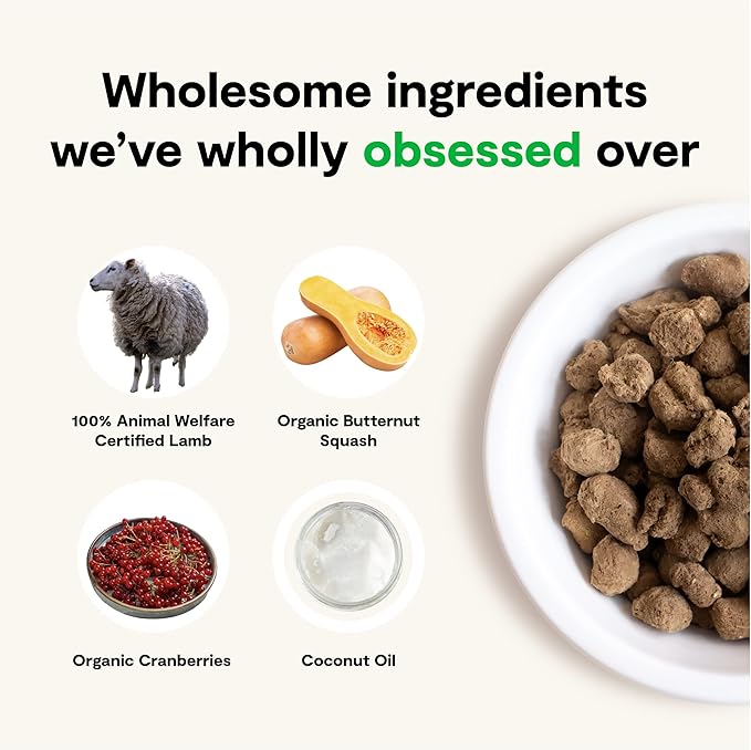 Open Farm Freeze Dried Raw Dog Food, Humanely Raised Meat Recipe with Non-GMO Superfoods and No Artificial Flavors or Preservatives (22 Ounce (Pack of 1), Pasture Raised Lamb)