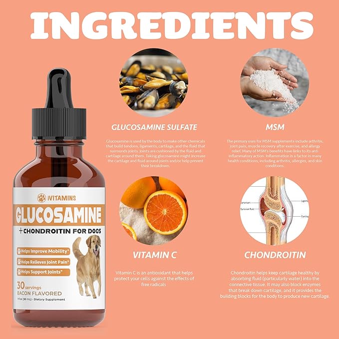 Glucosamine for Dogs | Supports Healthy Hips, Joints, & More | Glucosamine for Dogs Hip and Joint Supplement | Dog Glucosamine | Dog Joint Supplement | Glucosamine Chondroitin for Dogs | 1 fl oz