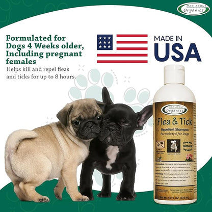 Flea and Tick Repellent Shampoo Formulated for Dogs - Dog Shampoo for Flea and Tick Prevention, Natural Flea Treatment for Dogs, Kills Eggs and Larvae, Effective Protection - 16oz
