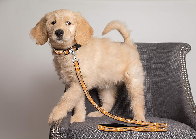 Pets First Collegiate Pet Accessories, Dog Leash, Tennessee Volunteers, Small