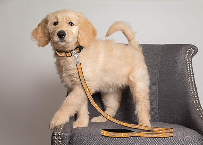 Pets First Collegiate Pet Accessories, Dog Leash, Tennessee Volunteers, Small