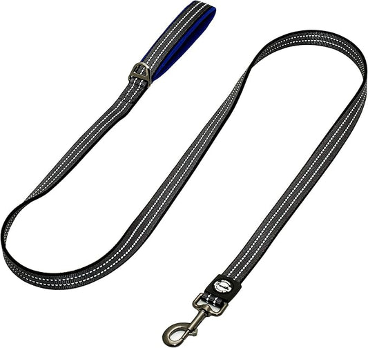 Franklin Pet Supply Nylon Dog Leash – Reflective – Comfort Fit – Neoprene Handle – 6 Foot – Dog Training – Walking – Purple