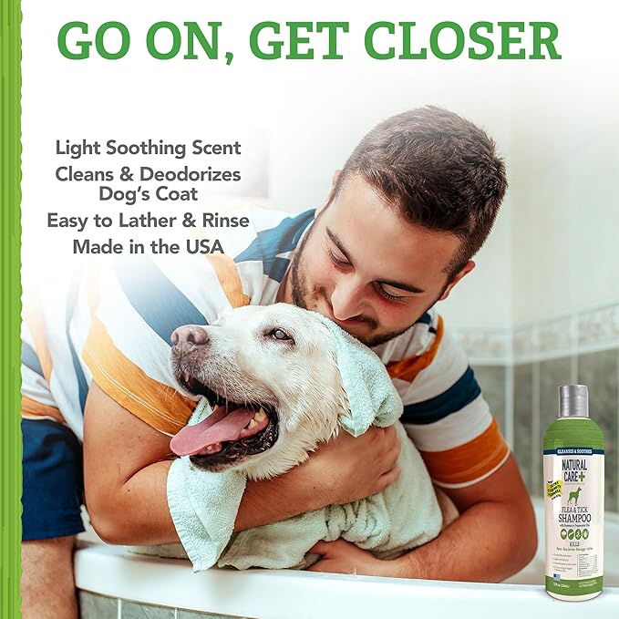 Flea and Tick Dog Shampoo - Flea & Tick Treatment for Dogs - Flea & Tick Killer with Certified Natural Oils - 12 Fluid Ounces