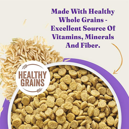 Halo Holistic Dog Food, Complete Digestive Health Cage-Free Chicken and Brown Rice Recipe, Dry Dog Food Bag, Adult Formula, 21-lb Bag