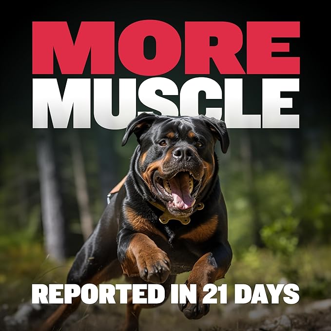 Bully Max 3-in-1 Liquid Muscle Building Supplement for Dogs. for all breeds & ages. Clinically tested. #1-rated brand since 2008