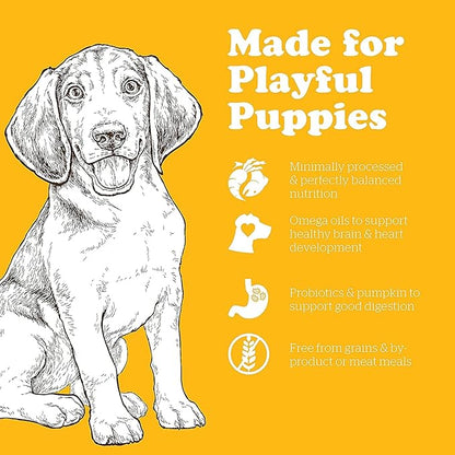 Now Fresh Grain Free Puppy Food, 22 lb - Dry Dog Food Recipe for Puppies - Real Meat and Fish for Protein - Healthy Diet for Small, Medium and Large Breed Dogs