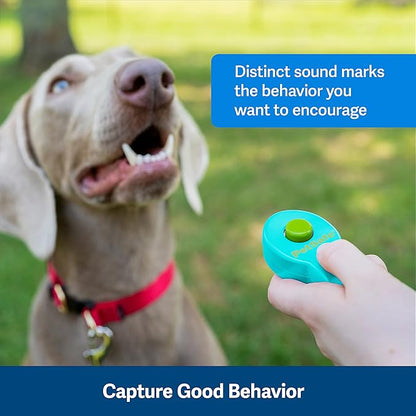 PetSafe Clik-R Dog Training Clicker - Positive Behavior Reinforcer for Pets - All Ages, Puppy and Adult Dogs - Use to Reward and Train - Training Guide Included - Teal