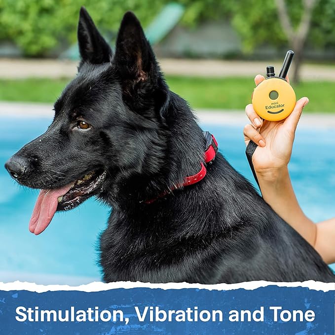 E-Collar - ET-300-1/2 Mile Remote Waterproof Trainer Mini Educator Remote Training Collar - 100 Training Levels Plus Vibration and Sound - includes PetsTEK Dog Training Clicker