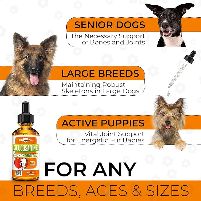 Glucosamine for Dogs Liquid ✿ Hip and Joint Supplement Dogs Liquid ✿ Dog Joint Supplement Liquid ✿ Glucosamine for Small Dogs ✿ Liquid Glucosamine for Dogs ✿ Bacon Flavor ✿ 2 Oz
