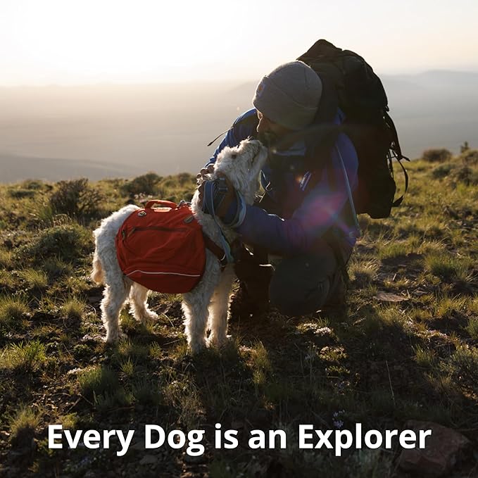 Ruffwear, Crag Dog Collar, Reflective and Comfortable Collar for Everyday Use, Alpine Dawn, 11"-14"