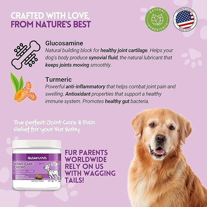 Herbion Pets Joint Care Chews with Glucosamine & Turmeric, 120 Soft Chews - MSM & Chondroitin for Pain Relief - Improves Mobility - Supports Healthy Joints - Made in The USA - for Dogs 12 Weeks+
