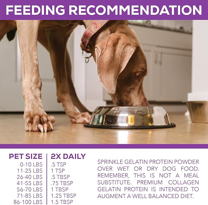 Premium Collagen Gelatin Protein for Dogs, 1Lb 10 Oz