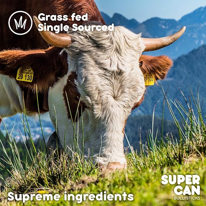 Supercan Bully Sticks for Dogs 6" (10 Count) -100% Natural Farm Raised Beef Dog Chews. Free Range Grass Fed Non-GMO Treats for Dogs