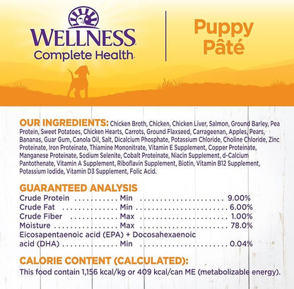 Wellness Complete Health Natural Wet Canned Puppy Food, Puppy Chicken & Salmon 12.5-Ounce Can (Pack of 12)
