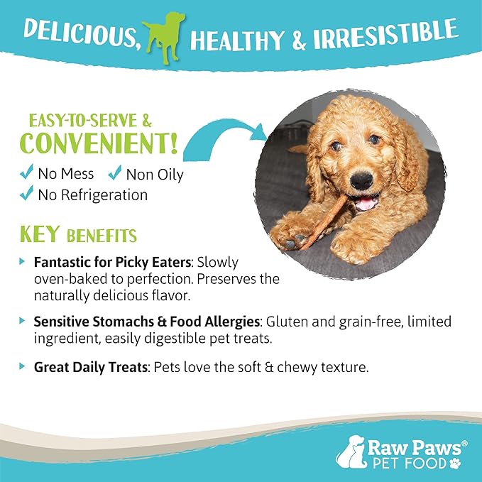 Raw Paws Grain-Free Soft Stick Treats for Dogs & Cats - Chicken Recipe, 6-oz - USA Soft Chicken Dog Treats Grain Free - Sausage Sticks for Dogs, Chicken Dog Jerky Sticks - Chewy Chicken Jerky for Dogs