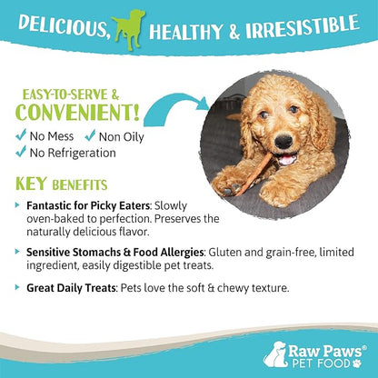 Raw Paws Grain-Free Soft Stick Treats for Dogs & Cats - Chicken Recipe, 6-oz - USA Soft Chicken Dog Treats Grain Free - Sausage Sticks for Dogs, Chicken Dog Jerky Sticks - Chewy Chicken Jerky for Dogs