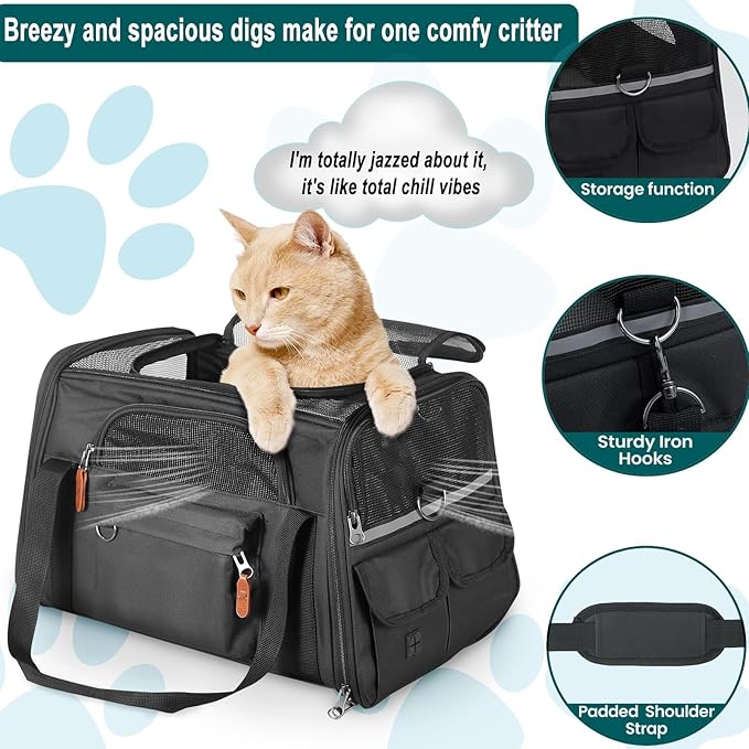 Pet Carrier for 2 Kittens/Large Cats Up to 20 lbs Maximum/Soft-Sided Small Dog Travel Top Entry/Sturdy Collapsible Carrier Bag for Medium Cats