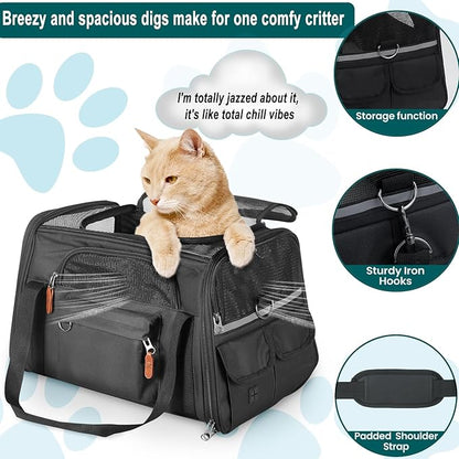 Pet Carrier for 2 Kittens/Large Cats Up to 20 lbs Maximum/Soft-Sided Small Dog Travel Top Entry/Sturdy Collapsible Carrier Bag for Medium Cats