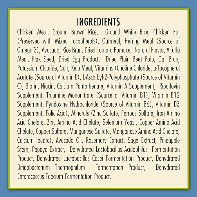 AvoDerm Puppy Dry Dog Food, DHA For Brain & Eye Development, Chicken & Brown Rice Formula, 4.4lb bag